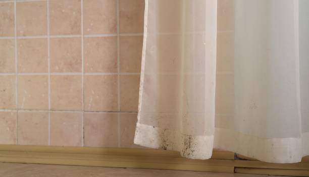 Best Dehumidification Services  in Fyffe, AL
