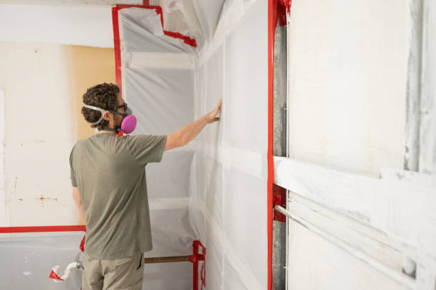 Forensic Mold Investigation in Fyffe, AL