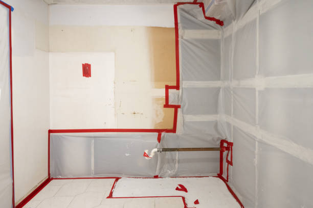 Best Mold Removal for HVAC Installations  in Fyffe, AL