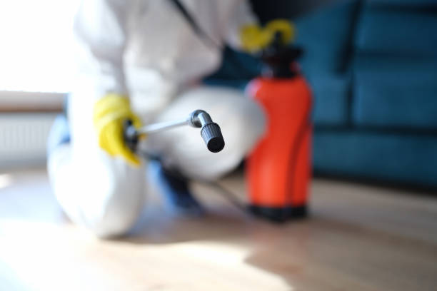 Best Industrial Mold Remediation  in Fyffe, AL