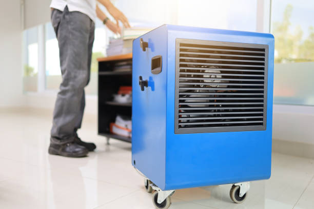 Best Comprehensive Air Testing for Mold Contaminants  in Fyffe, AL