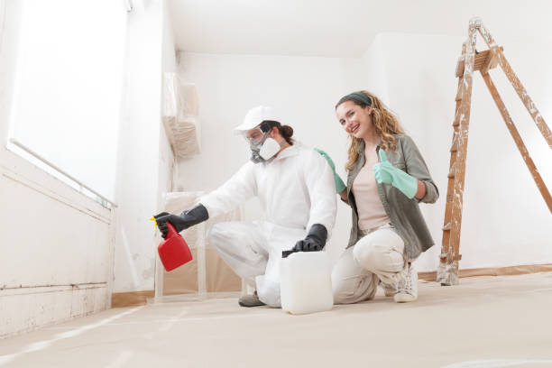 Best Mold Remediation for Healthcare Facilities  in Fyffe, AL